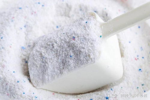 家里有蚂蚁不用开水烫,教你4个妙招,蚂蚁不敢来你家,安全管用