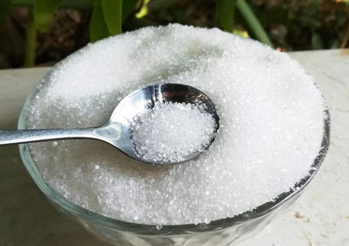 养花5种 生根剂 ,路边捡一把,扦插泡一泡,大白根噌噌往外冒