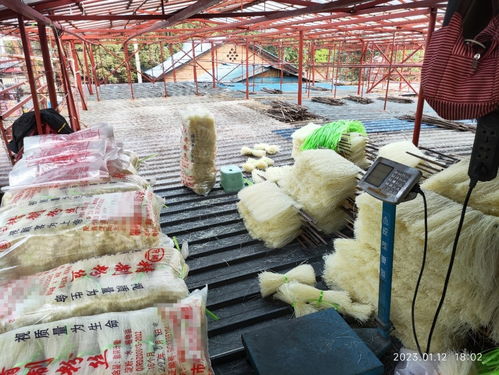 食品生产许可证过期 四川攀枝花一粉丝厂将生产日期改到半年前被查