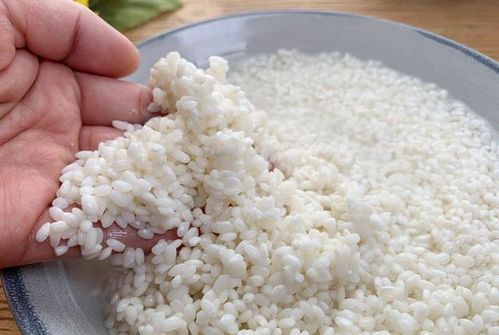 江米凉糕的做法 糯米做凉糕不黏不拉丝怎么做