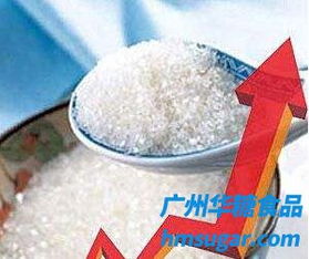 03月08日关于东边地域和广西地域白糖价格报价简述