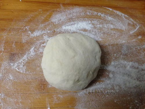 除了巧克力,还有这15种食物千万不要给自己的狗狗吃