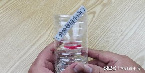 巧用塑料瓶与白糖，轻松安全消灭家中苍蝇